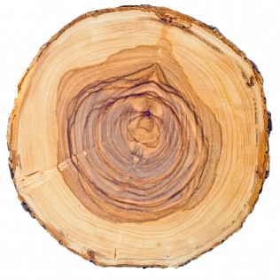 wood-top
